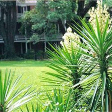 The Elms Bed And Breakfast Natchez Buitenkant foto