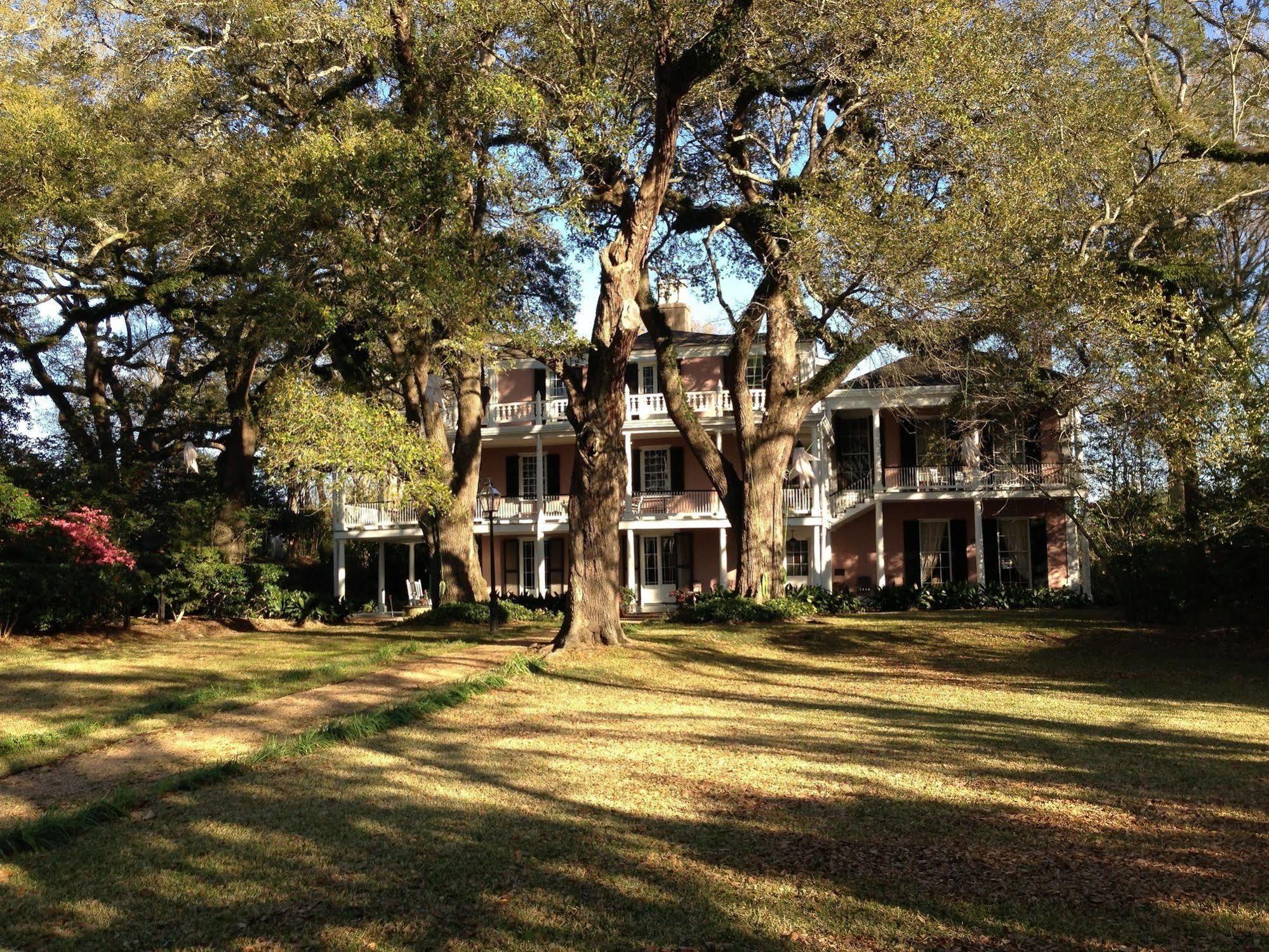 The Elms Bed And Breakfast Natchez Buitenkant foto