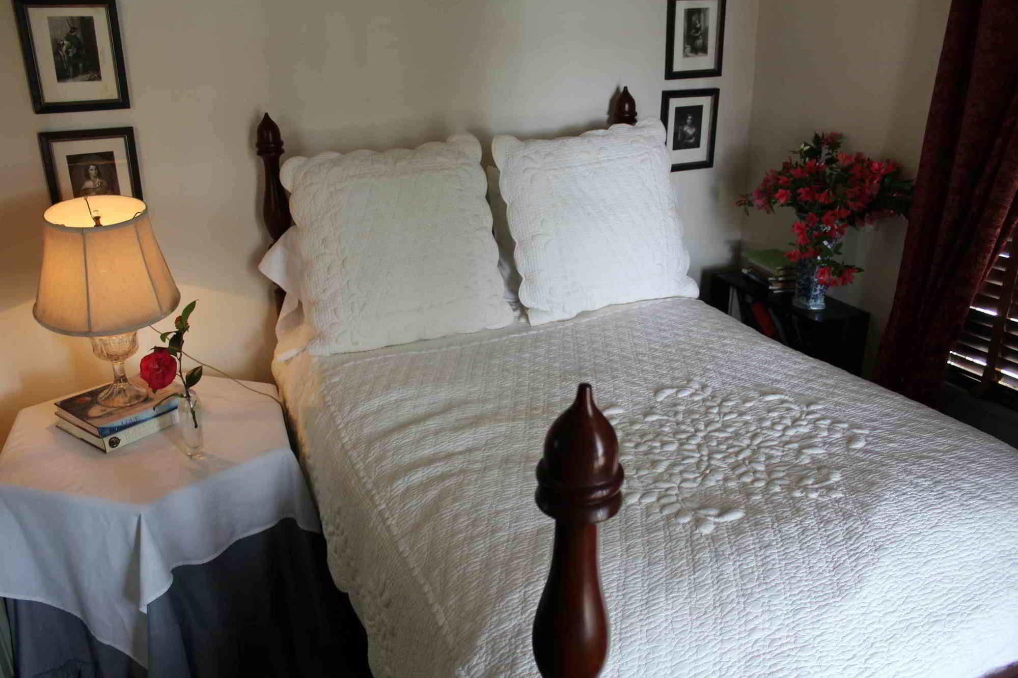 The Elms Bed And Breakfast Natchez Buitenkant foto