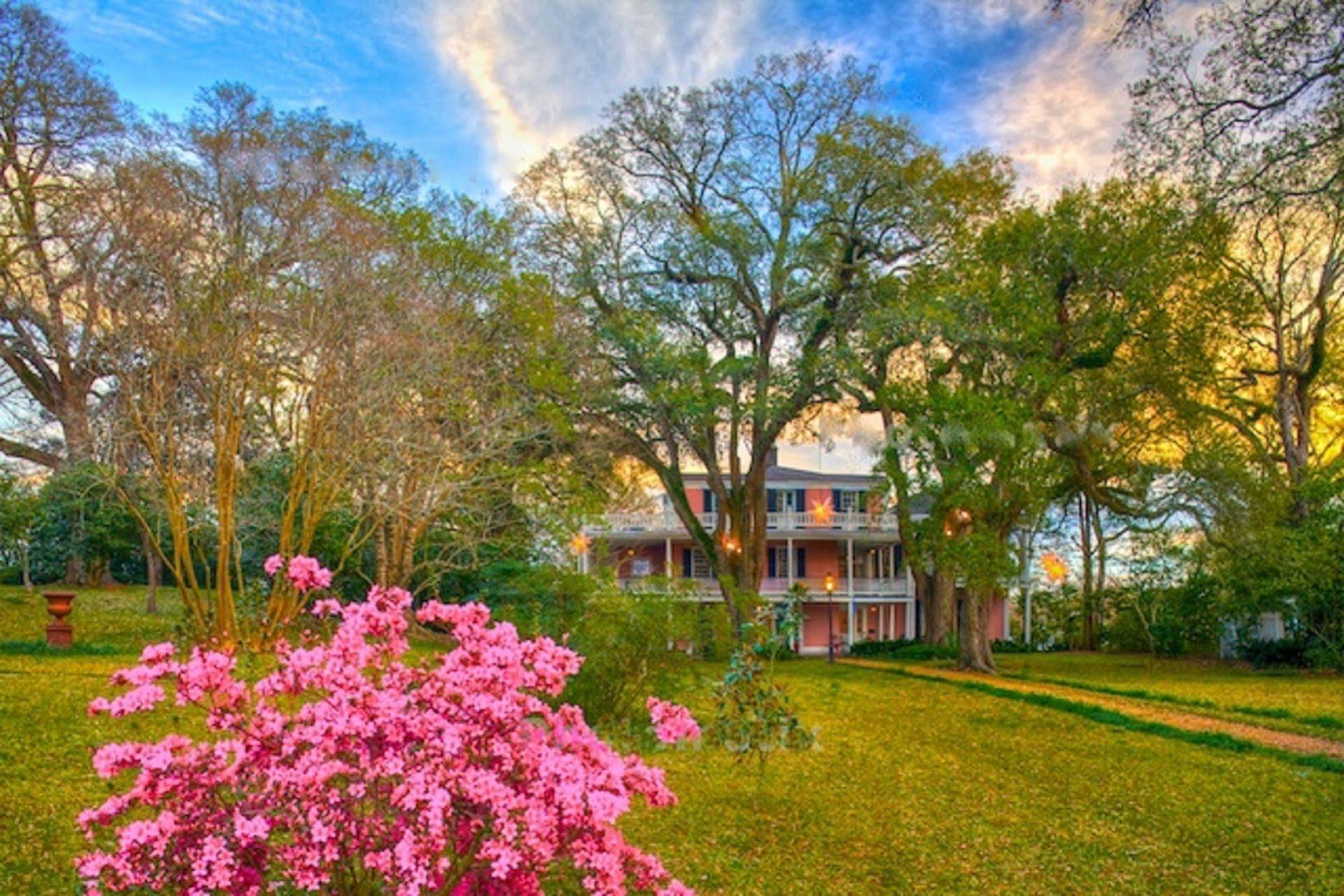 The Elms Bed And Breakfast Natchez Buitenkant foto