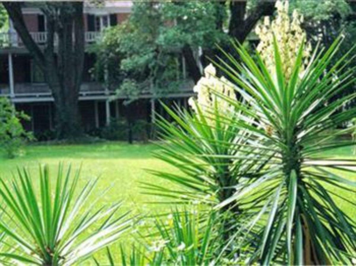 The Elms Bed And Breakfast Natchez Buitenkant foto